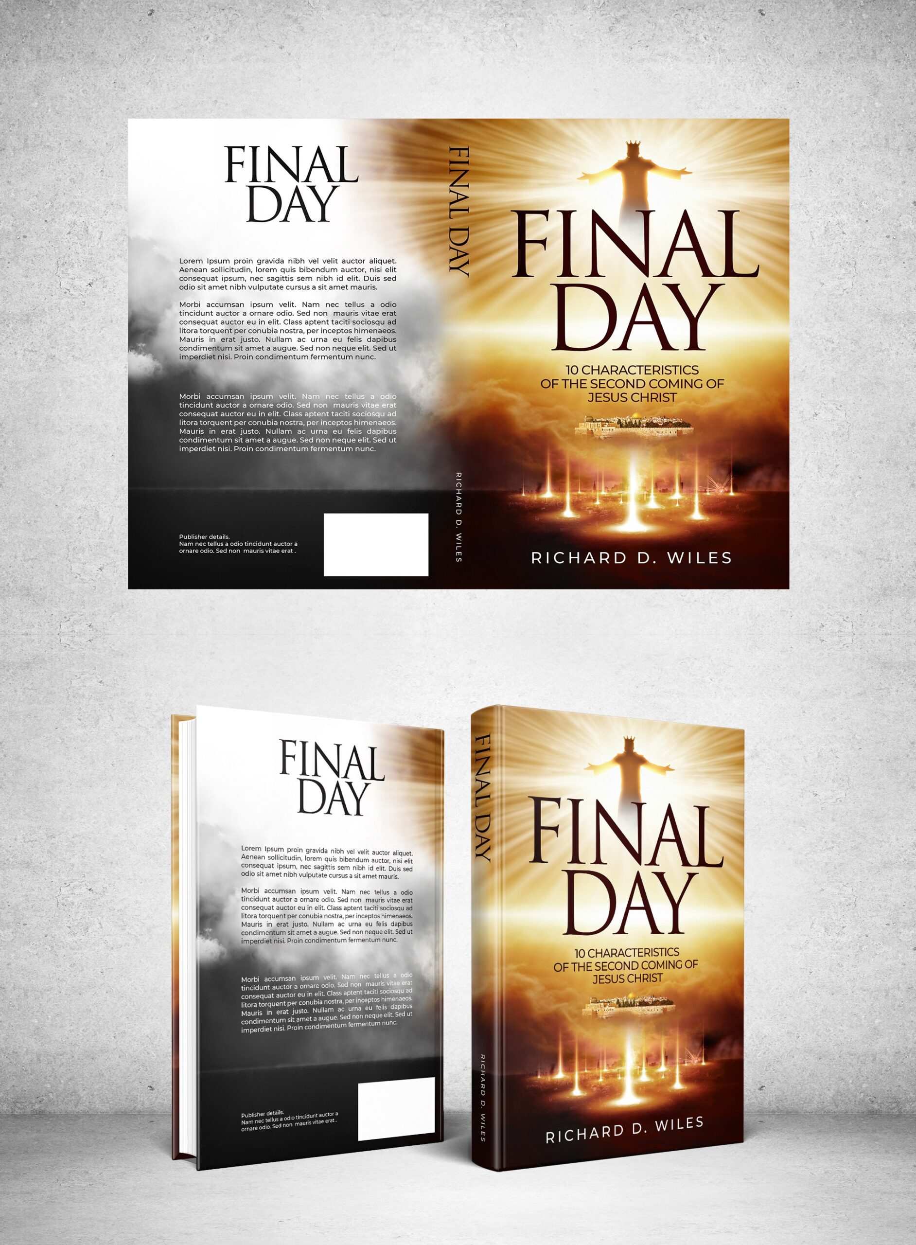 Book cover for Final Day1