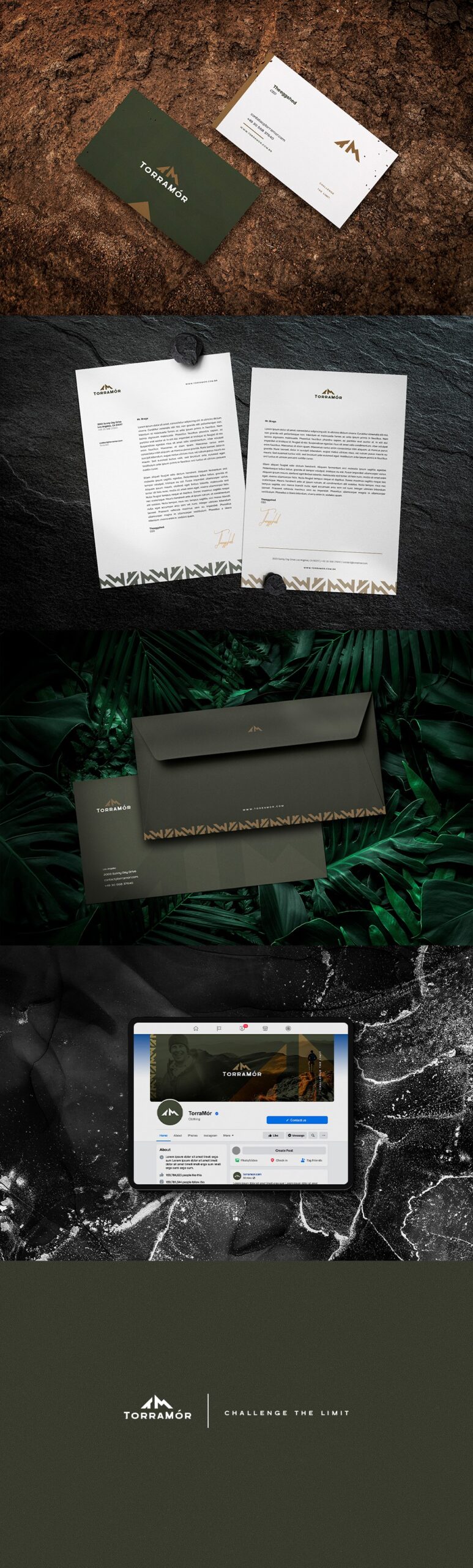 Logo and Branding For TorraMór