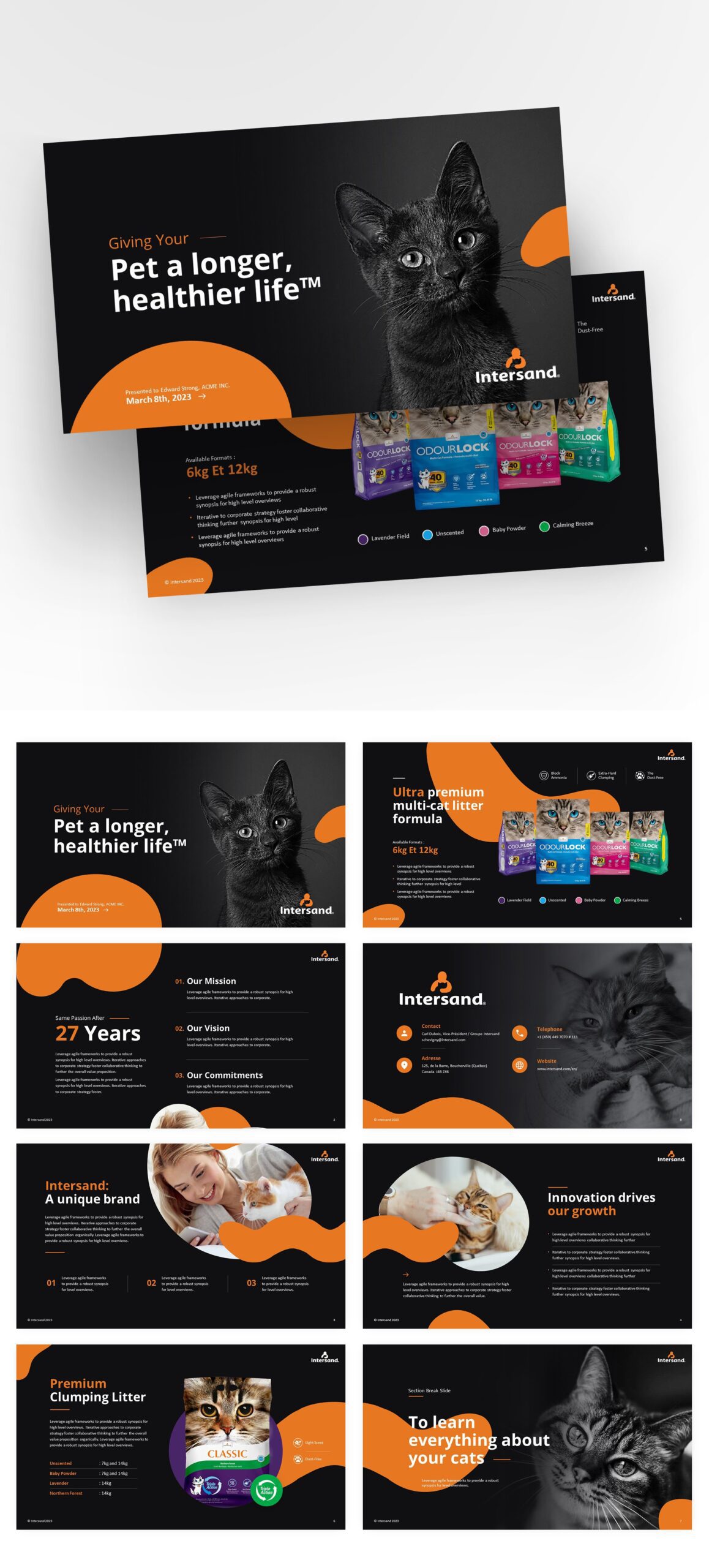 Pitch Deck Design (3)